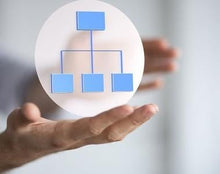 Load image into Gallery viewer, Management and Organization Training