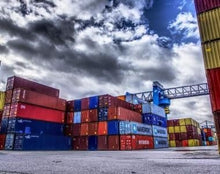 Görseli Galeri görüntüleyiciye yükleyin, İhracat Geliştirme