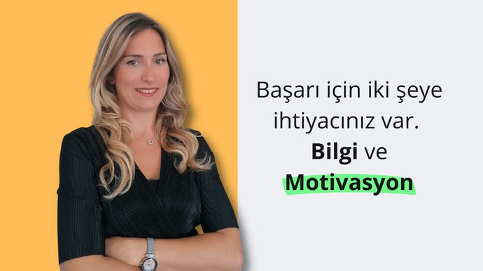 Motivation 3.0 Training