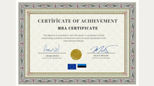 Görseli Galeri görüntüleyiciye yükleyin, Mini MBA
