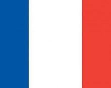 Load image into Gallery viewer, French Course (A1)
