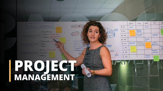 Basics of Project Management